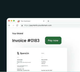 Branded payment page for Invoice #0183 on a custom domain